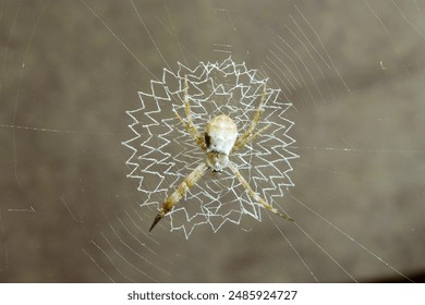 娱乐行业利好消息频传,明星效应再度引爆市场 娱乐行业利好消息频传,明星效应再度引爆市场