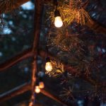 姚记:传承百年的传统美食与文化魅力 6dwsw3rp4