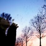 3D开奖历史中924号码前后关联走势深度解析 2p0bt7z