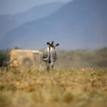 19号3D开奖结果震撼揭晓,幸运号码花落谁家? cybt27n