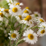 20007期双色球开奖结果公布,一等奖花落谁家? fa2pmx5h9