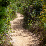 19279期双色球开奖结果最新公布 jxl3b