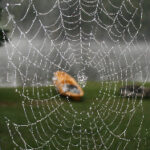 19555开奖结果揭晓,幸运号码震撼公布 la3cysfy