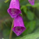 1995年大乐透开奖记录查询与历史数据汇总 p0ei7