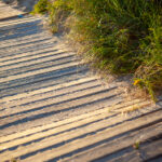 1直播在线观看:实时互动畅享精彩内容 qhceqiu