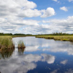 1994期彩票开奖号码查询与结果公布 qj1kbrp6